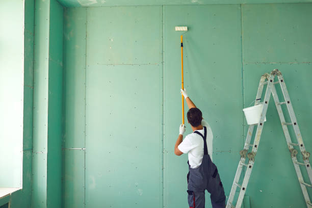 Mold Removal for HVAC Installations in Stuart, IA