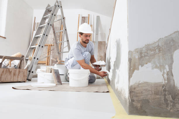 Best Black Mold Removal  in Stuart, IA