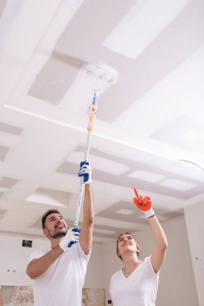 Best Dehumidification Services  in Stuart, IA