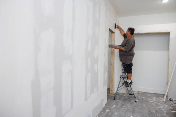 Best Water Damage & Mold Remediation  in Stuart, IA