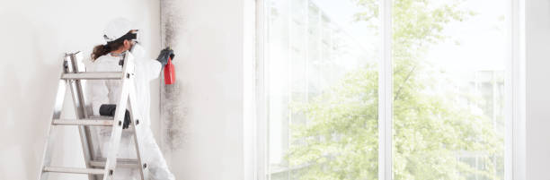Best Forensic Mold Investigation  in Stuart, IA