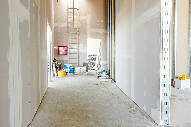 Best Industrial Mold Remediation  in Stuart, IA