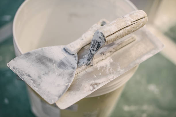 Best Mold Documentation for Insurance Claims  in Stuart, IA